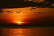 Buoys in the water are highlighted by the dawn sun; Ko Rok, Thailand