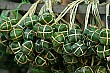 Rice cakes wrapped in banana leaf; Hoi An, Vietnam